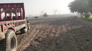 Lion star agriculture form