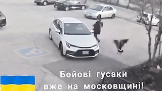 Гусь 2