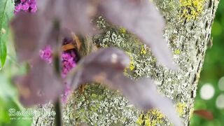 Soothe the Soul: Relaxing Meditative Music, Balancing the Spirit, Relieve Stress, Sleep Well
