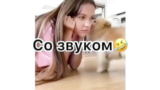 Прикол 32
