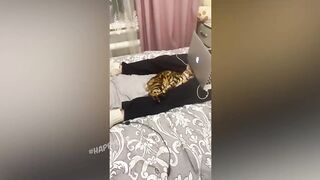 СМЕШНЫЕ КОШКИ 2022 И ДРУГИЕ ЖИВОТНЫЕ_ 10 МИНУТ СМЕХА_СМЕШНЫЕ ЖИВОТНЫЕ 2022_ЛУЧШИ.mp4