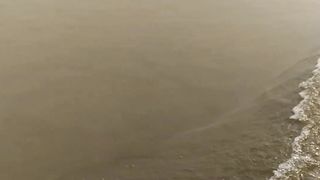 Ganga ke beech me #Temple????????