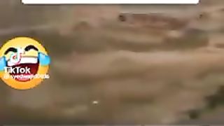 Qomi tarana new 2023