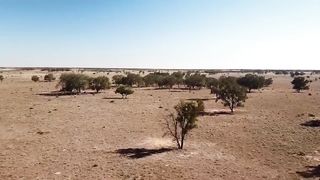 Australia's INSANE Plan to GREEN All it's Deserts