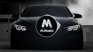 Levels song