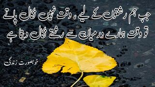Aqwale zareen in urdu . hind quotes . quotes . good morning quotes .heart touching lines