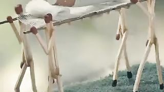 When the پرائس  jump to out