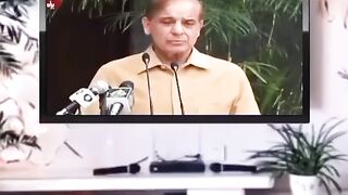 pakistani funny memes