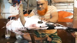 Big 15kg Fish Cutting