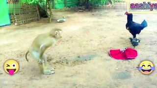 इन जानवरों से पंगा ना बाबा ना ????????.... Funny Animals Video