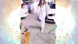 Cute Funny