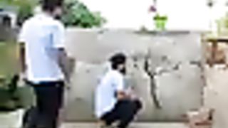 Loop video