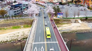 Cherry blossom road