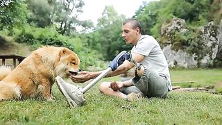 Man’ s best friend at his hard times
