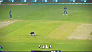 PSL 8 2023 Short