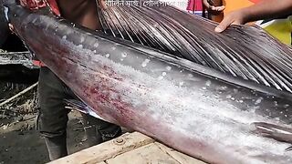 Amazing fish ????????