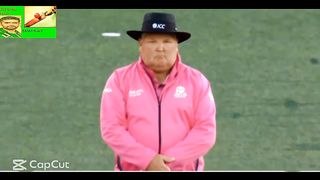 pak vs nz semifinal all wickets