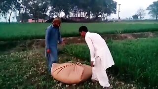 Funny video by village boys