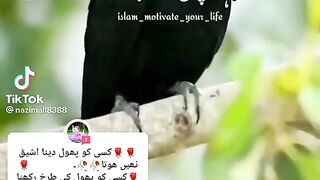 Sabir molvi ka biyan