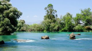 Relaxing with Nature River