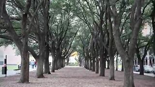 Water wall park