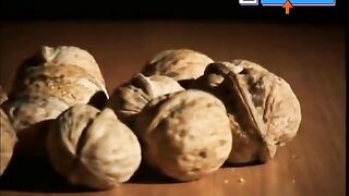 Denis Cyplenkov VS Walnuts