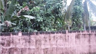 Pandemonium: This Was Unexpected!! ,flock of parrots