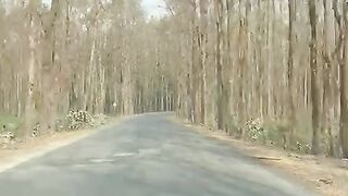 My home town