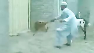 Funny video