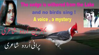 urdu poetry