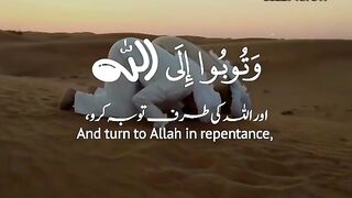 Tillawat eQuran ! Khobsurat awaz main