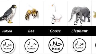 Halal aur Haraam Janwar