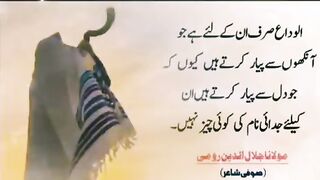 Molana Jalaluddin Rumi Quotes in Urdu | Aqwal e Zareen in Urdu Images | Islamic Quotes Images