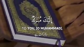 Quran whatsapp status