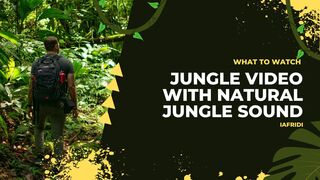 NATURAL JUNGLE WITH SOUNDS