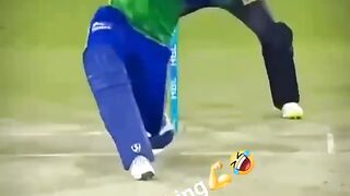 Cricket Lovers