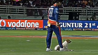 IPL funny video ipl funny moments