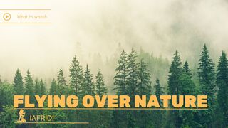 Flying Over Nature