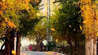Autumn ???? Gilgit