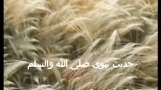 Hadees e nabvi sallallaho alehi wassalam ❤️