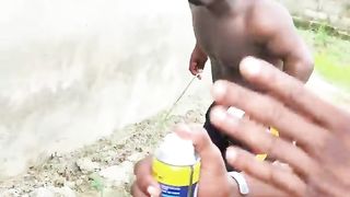 Best funny videos