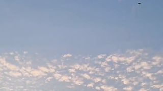 Whatsapp status|short video |
