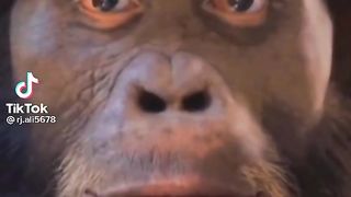 Aik mutnaziya video Jo bilkul achi bat nhin he hum muzammat krte hen