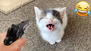 Funny Animal Videos 2023 ???? - Funniest Dogs And Cats Videos ???????? Part 2