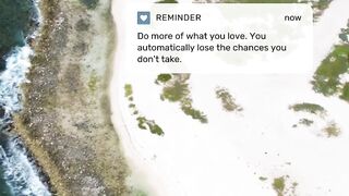 Live your life