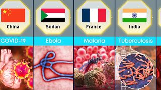 What Do the Most Dangerous Diseases in the World Look Like and Founded?