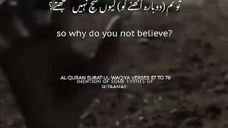 Al Quran Beautiful Words