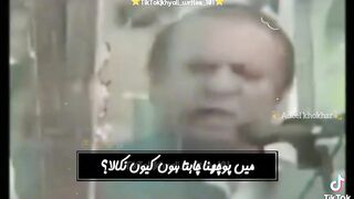 Funny  video