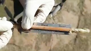 Amazing video