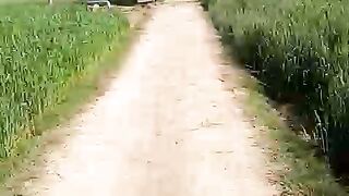 Good video